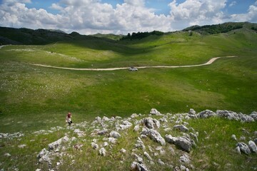 People walk on a green meadow in Durmitor park, Montenegro