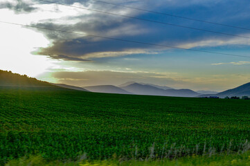 green field and sky