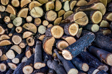 Pile of timber, selective focus, ready for the winter heating by the fireplace.