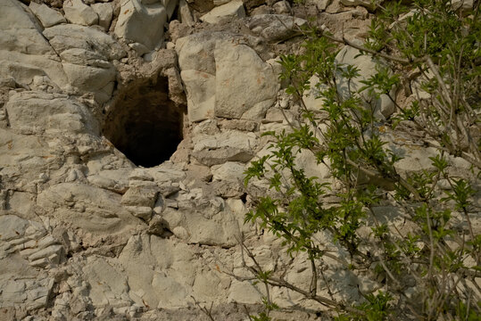 ruins of a white stone granary in Kazimierz Dolny