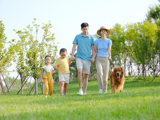 Fototapeta premium Happy family of four walking dogs in the park