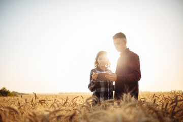 A man and a woman farmers check the wheat harvest. Two agronomists stand in the middle of a ripe wheat field at sunset with a tablet. Smart farming concept, internet.