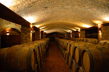 wine barrels in cellar