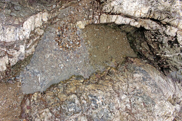 Above view of a tidal rock pool with many seashells