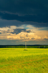 Fototapeta na wymiar Gloomy storm clouds in the sky in a summer field