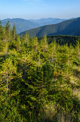 Summer Carpathian mountains evening view. Stony Gorgany massif, Ukraine.