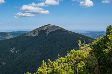 Fototapeta premium Summer Carpathian mountains view. Stony Gorgany massif, Ukraine.