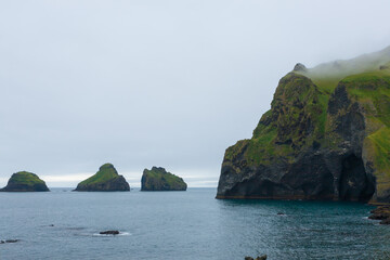Elephant shape rock, Vestmannaeyjar island beach, Iceland
