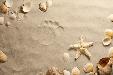 Fototapeta na wymiar The composition of sea shells and starfish on a textured surface of a sandy beach with a human footprint