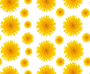 Beautiful seamless pattern of yellow insulated dandelions