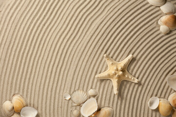 Fototapeta na wymiar The composition of sea shells and starfish on a wavy textured surface of a sandy beach
