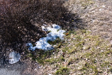 Snow on the ground