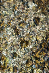 Stones under water on river bottom in sunny day