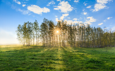The Sunbeams through trees in foggy morning