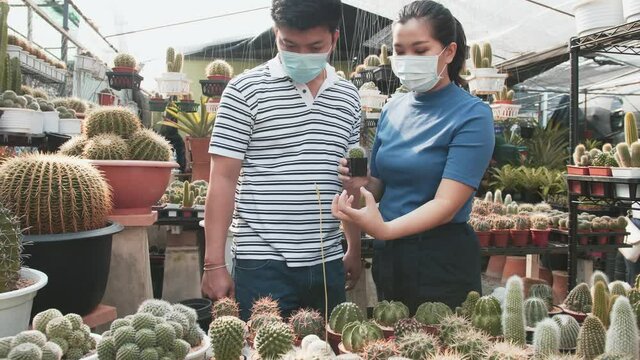 Two masked asian people talk about the cacti plants in front of them on a table at a nursery greenhouse in bright lighting.