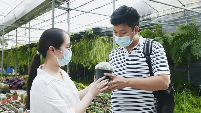 Two masked asian people hold a potted cactus and examine it in a greenhouse or hothouse nursery in bright lighting.