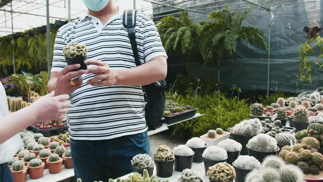 An asian man with a mask on picks up a cactus and gives it to an asian woman, also masked. They are standing in a greenhouse or plastic tunnel plant nursery