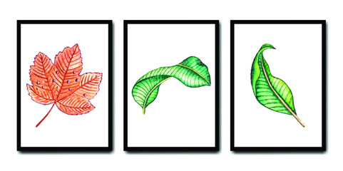 Hand drawn watercolor summer leaf set in different frames
