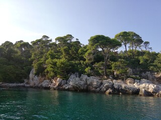 Naklejka premium Dubrovnik Croatie île de Lokrum 