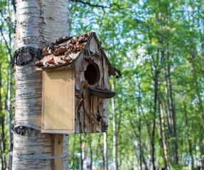 Birdhouse