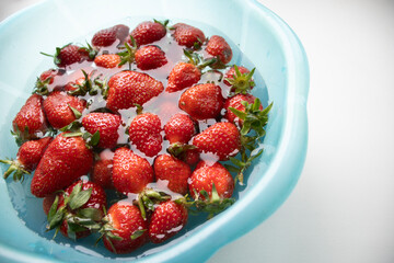 strawberries in a blue plate with water on a light background. Soaking fruits and vegetables in water, carefully processing berries. Strawberry season