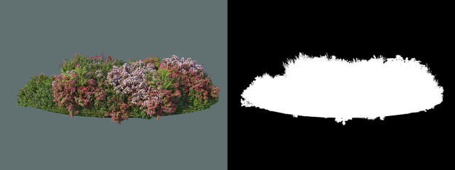 Various trees and flowers
