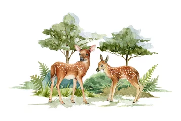  Deer animal in forest landscape. Watercolor illustration. Deer couple standing in forest scene. Rustic print image. Bambi in wild forest herbs, bushes, green trees. Side view two forest animal © anitapol