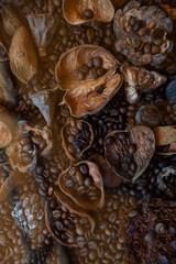 Dried fruits, coffee beans textured patterned