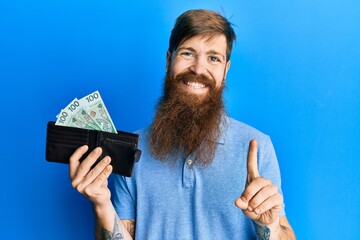 Redhead man with long beard holding wallet with polish zloty banknotes smiling with an idea or question pointing finger with happy face, number one