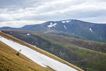 Mountains landscape in ukrainian Carpathians