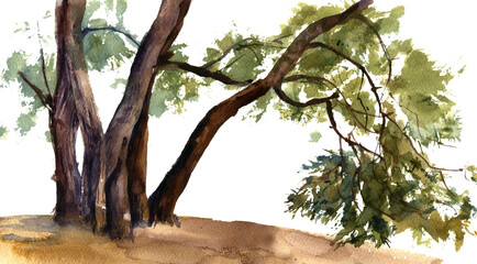 Fototapeta na wymiar watercolor drawing tree trunks, hand drawn illustration