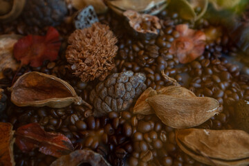 Dried fruits, coffee beans textured patterned