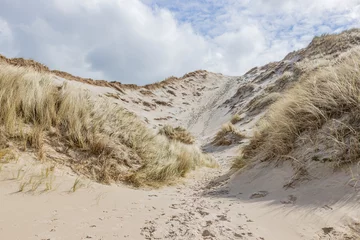 Afwasbaar Fotobehang Noordzee, Nederland Kustduinen met wit zand en wild gras in een Nederlands reservaat, zonnige lentedag met een lucht bedekt met witte wolken in Schoorlse Duinen, Noord-Holland, Nederland