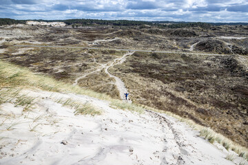 Hiking trails in a dune nature reserve, a woman and her dog among white sand, grass, dry heather and trees in the background, sky covered with clouds in Schoorlse Duinen, North Holland, Netherlands