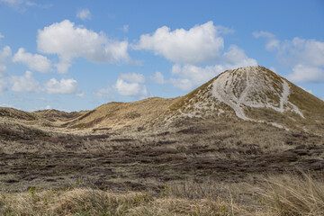 Réserve naturelle de dunes avec une petite montagne de sable blanc, sentiers de randonnée, herbe et bruyère sèche, journée ensoleillée avec un ciel bleu et des nuages blancs à Schoorlse Duinen, Hollande du Nord, Pays-Bas