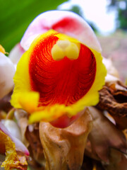 <Digimax i6 PMP, Samsung #11 PMP>