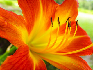 <Digimax i6 PMP, Samsung #11 PMP>