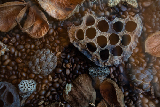 Dried fruits, coffee beans textured patterned