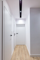 Corridor in modern design apartment with white door