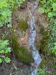 Kalkhaltiges Wasser läuft über einen kleinen Wasserfall in Oberlenningen. Dabei löst sich der Kalk und lagert sich auf dem Moos ab. So entsteht hier Tuffstein, der als Baumaterial verwendet wird.