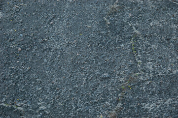 gray-blue cracked concrete with sand and small grass