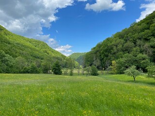 Fototapeta premium Das Donntal in Lenningen-Gutenberg mit den Wiesen und Hangwäldern ist ein ruhiger Ort im Naturschutzgebiet Oberes Lenninger Tal am Trauf der Schwäbischen Alb.
