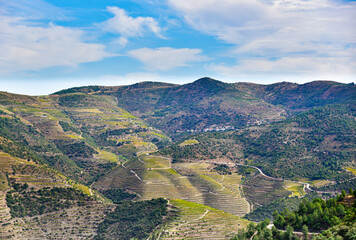 Mountains in Portugal with planted vineyards