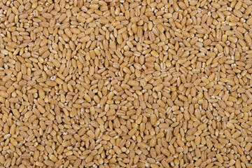 Pearl barley background. Top view. Food background.