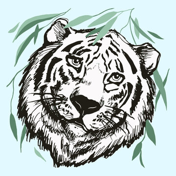 Tiger head on a white isolated background, Derawn black contour.,line art. Graphics vector illustration with bamboo leaves, trees. Exotic jungle baackround, print, texture.