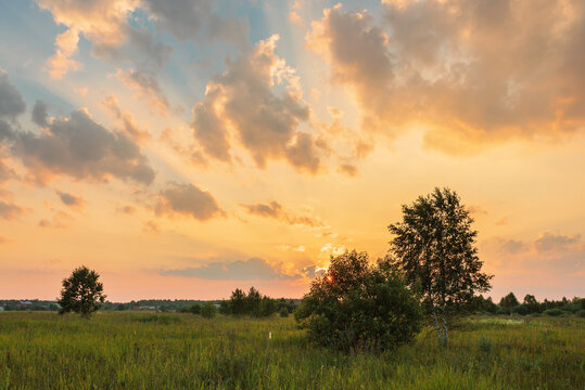 Sunset in summer field © Kushch Dmitry