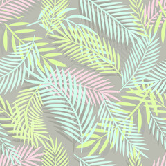 Palm leaves on colorful background.  Abstract palm leaves for decorative design.