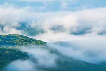 morning fog in the mountains. Weather in the forests and mountains. Summer fresh morning in the fog.