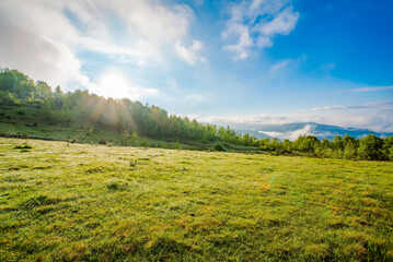 field in the early rays of the sun in the mountains with fog.