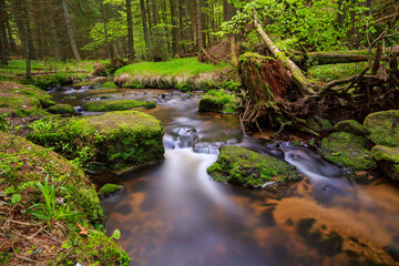 Long exposure smooth flowing water over rocks in forest